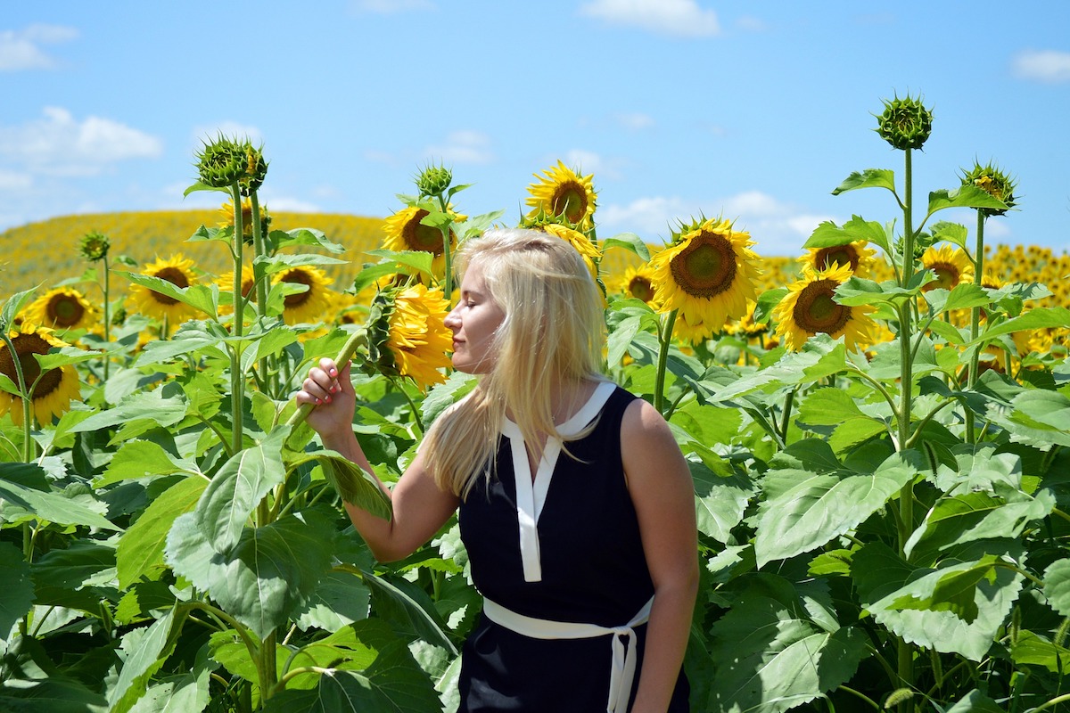 recovering alcoholic smelling sunflowers